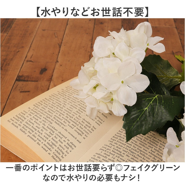 アジサイブッシュ | BACKYARD FAMILY | 詳細画像3