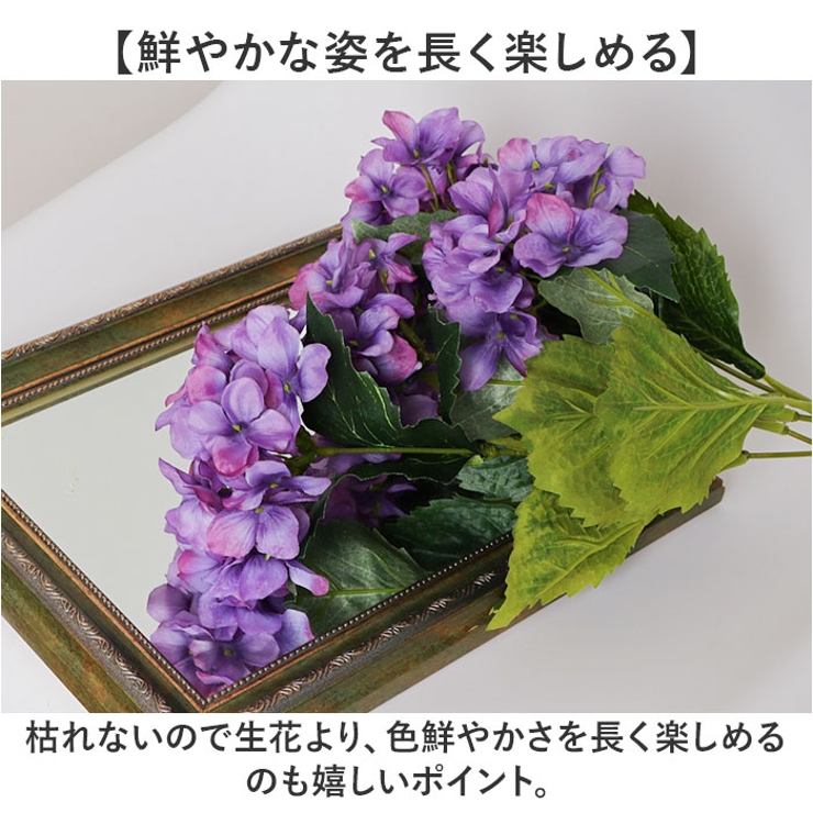 アジサイブッシュ | BACKYARD FAMILY | 詳細画像4