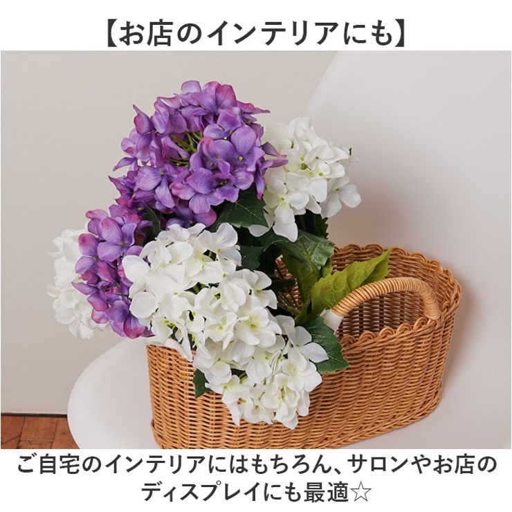 アジサイブッシュ | BACKYARD FAMILY | 詳細画像7