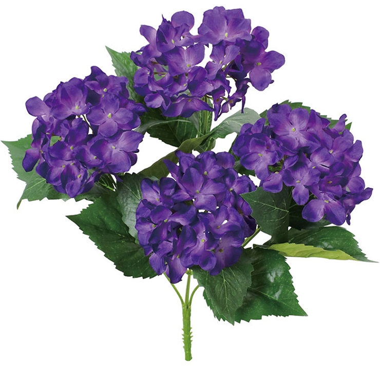 アジサイブッシュ | BACKYARD FAMILY | 詳細画像9