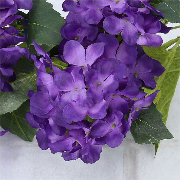 アジサイブッシュ | BACKYARD FAMILY | 詳細画像10