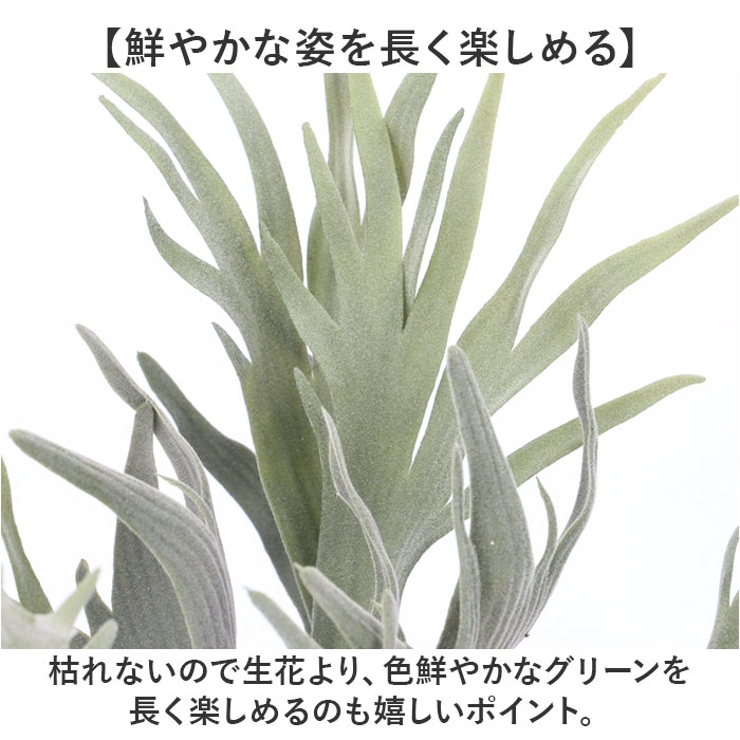 スタッキングホーンポット | BACKYARD FAMILY | 詳細画像4 