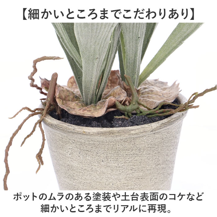 スタッキングホーンポット | BACKYARD FAMILY | 詳細画像5 