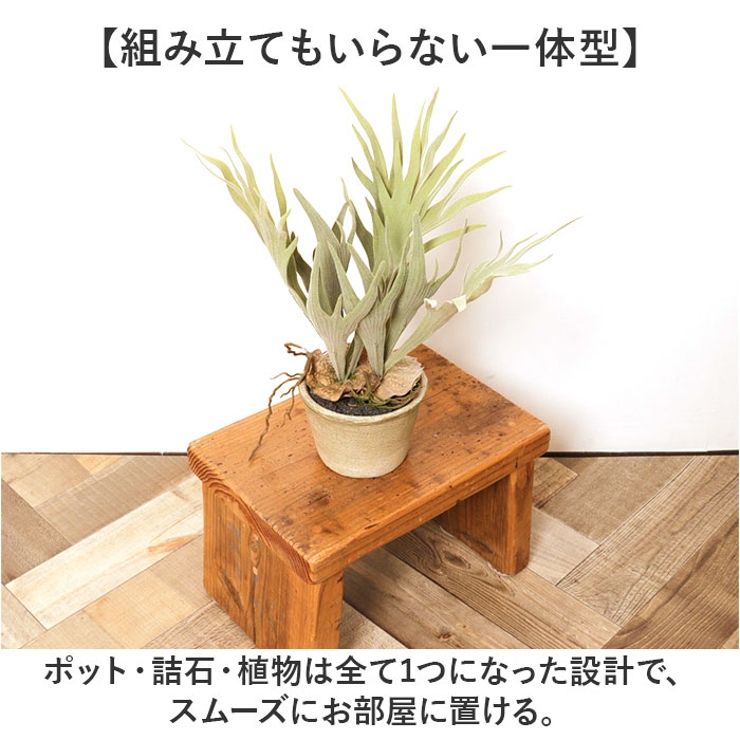 スタッキングホーンポット | BACKYARD FAMILY | 詳細画像7 