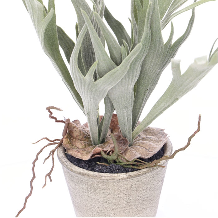 スタッキングホーンポット | BACKYARD FAMILY | 詳細画像9 