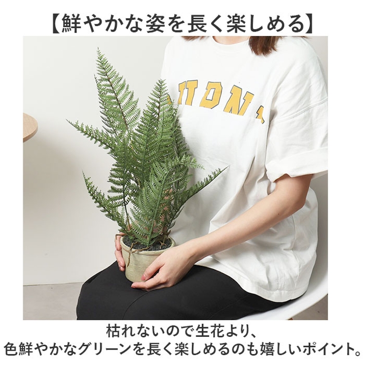 シダーポット | BACKYARD FAMILY | 詳細画像4 