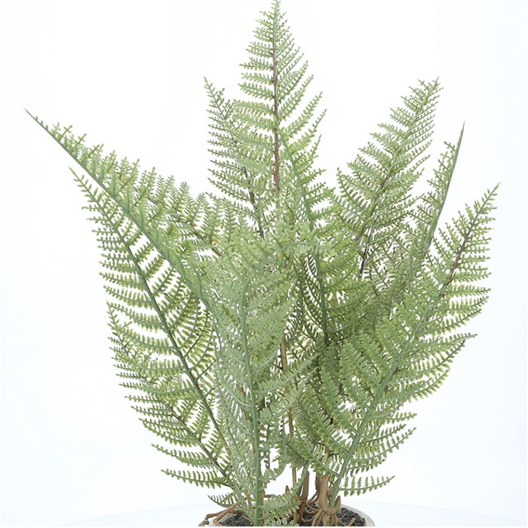 シダーポット | BACKYARD FAMILY | 詳細画像10 