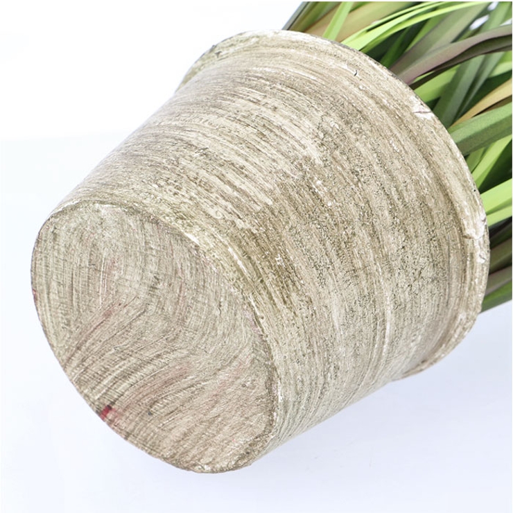 ポンポングラスポットＳ | BACKYARD FAMILY | 詳細画像10 