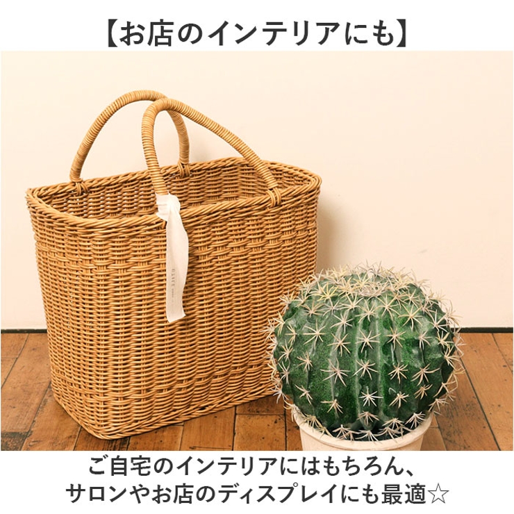 ボールサボテンポット | BACKYARD FAMILY | 詳細画像8 