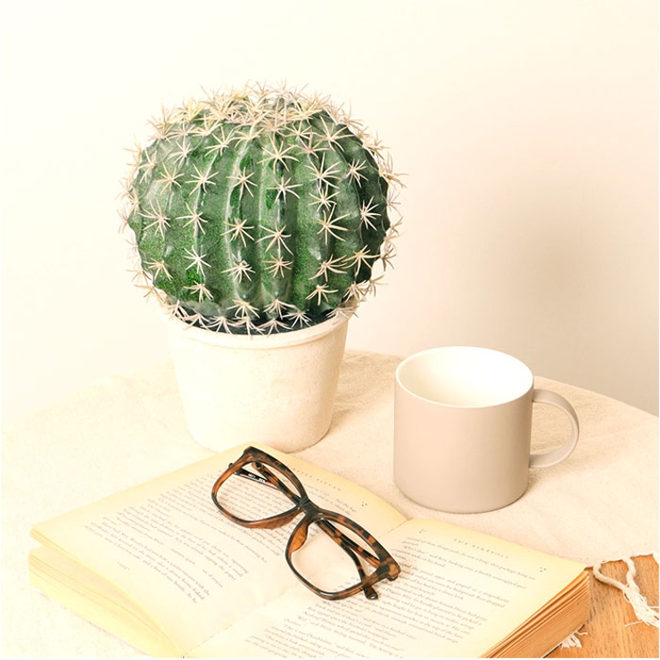 ボールサボテンポット | BACKYARD FAMILY | 詳細画像9 