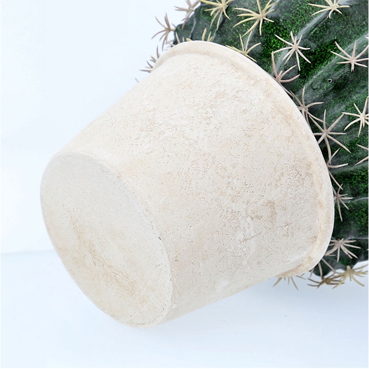 ボールサボテンポット | BACKYARD FAMILY | 詳細画像10 