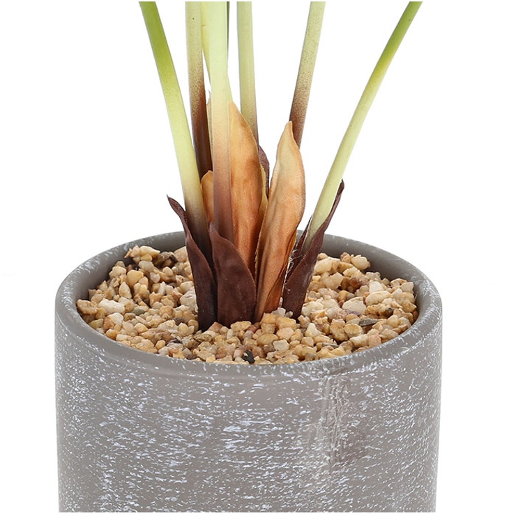 セメントポット | BACKYARD FAMILY | 詳細画像11