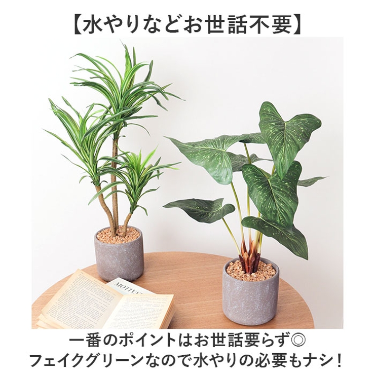 セメントポット | BACKYARD FAMILY | 詳細画像3