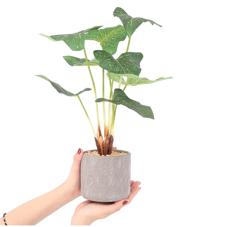 セメントポット | BACKYARD FAMILY | 詳細画像9