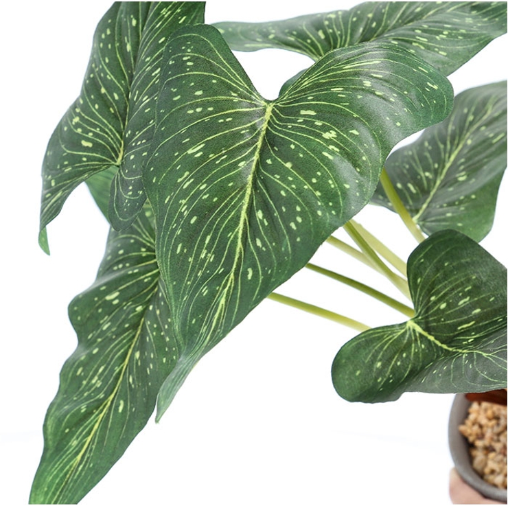 セメントポット | BACKYARD FAMILY | 詳細画像10