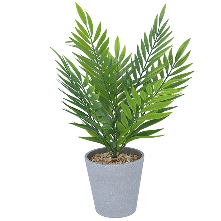 テーブルヤシポット | BACKYARD FAMILY | 詳細画像9 