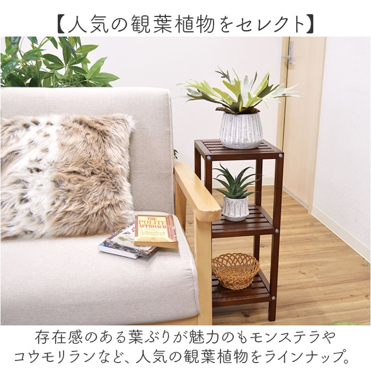 光触媒 ナビール ポットM | BACKYARD FAMILY | 詳細画像11 