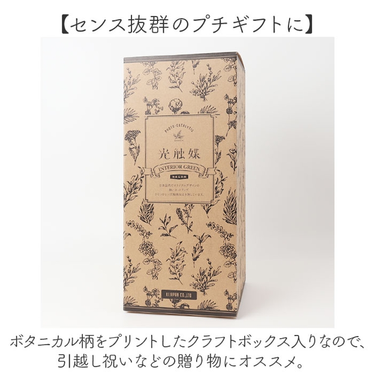 光触媒 ナビール ポットM | BACKYARD FAMILY | 詳細画像12 