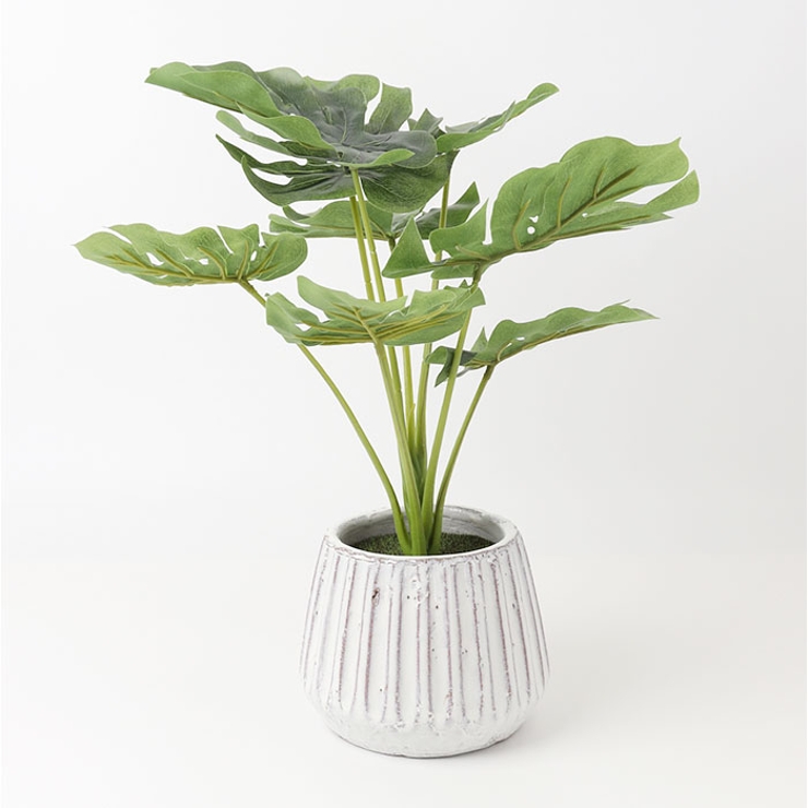 光触媒 ナビール ポットM | BACKYARD FAMILY | 詳細画像14 