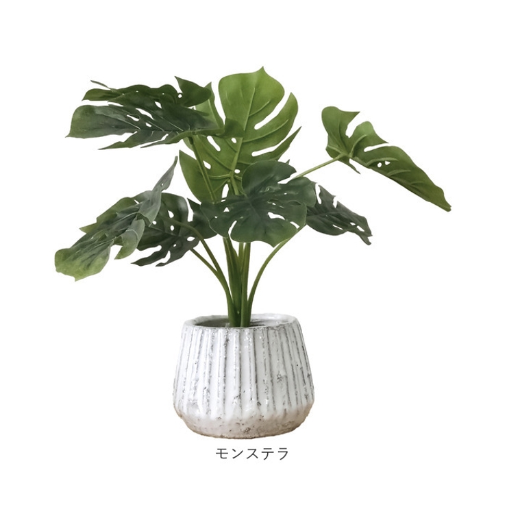 光触媒 ナビール ポットM | BACKYARD FAMILY | 詳細画像16 