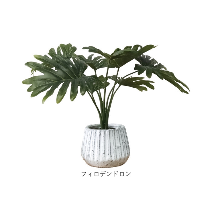 光触媒 ナビール ポットM | BACKYARD FAMILY | 詳細画像17 