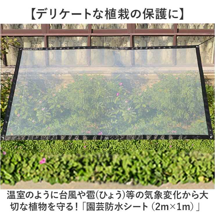 園芸防水シート ロープ付き 2ｍ×1ｍ | BACKYARD FAMILY | 詳細画像2 