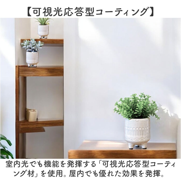 光触媒 ルピエ ポット | BACKYARD FAMILY | 詳細画像7 