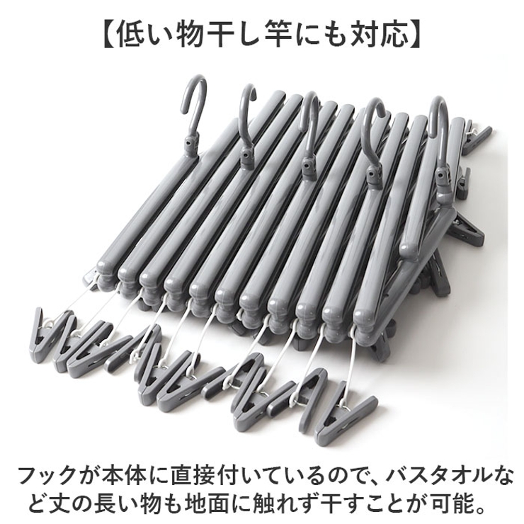 フリーピンチャー