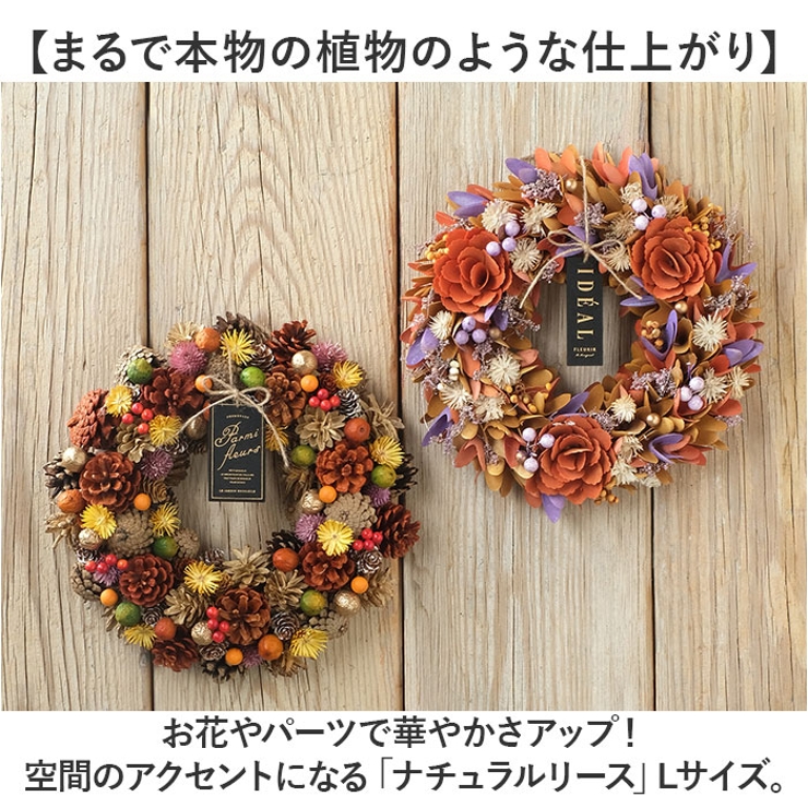 ナチュラルリース L[品番：BCYW0031090]｜BACKYARD FAMILY