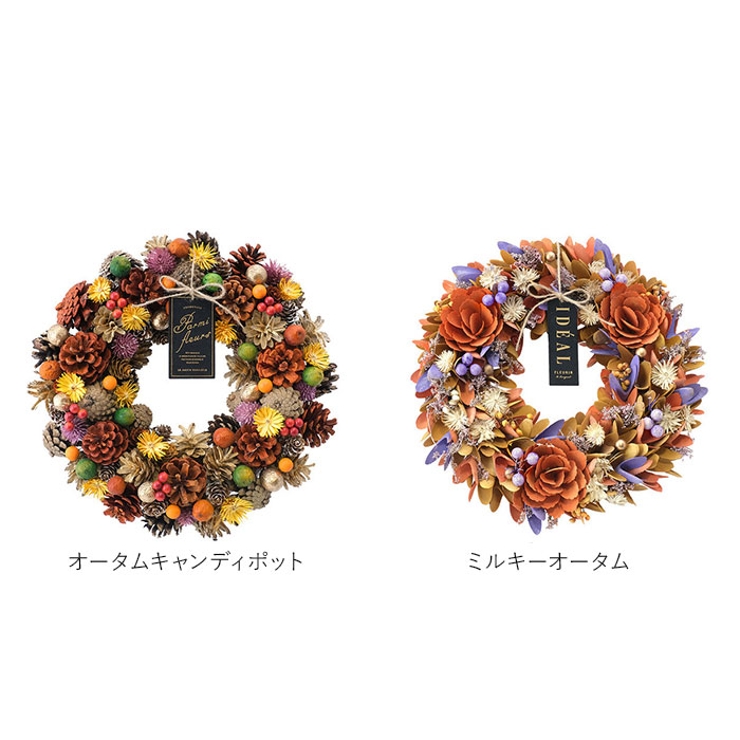 ナチュラルリース L[品番：BCYW0031090]｜BACKYARD FAMILY（バック