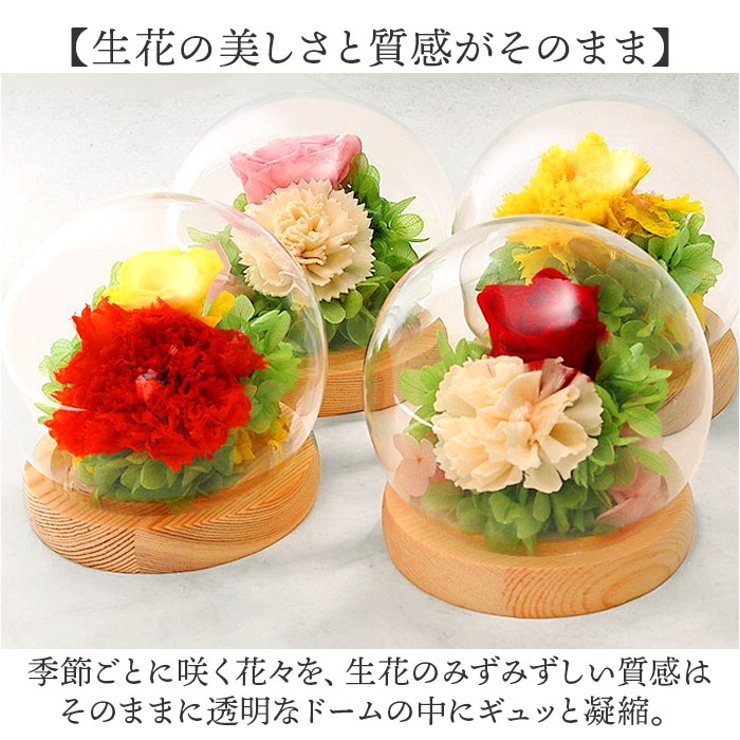 楽天市場】プリザーブドフラワー ガラスドーム 通販 フラワー