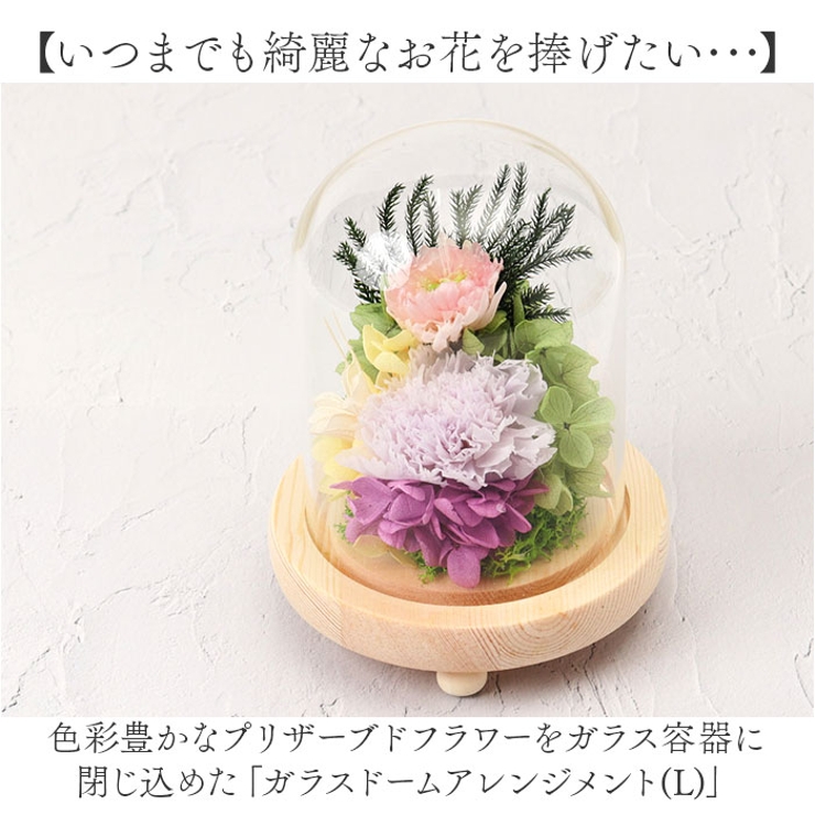 ガラスドームアレンジメントL | BACKYARD FAMILY | 詳細画像2 