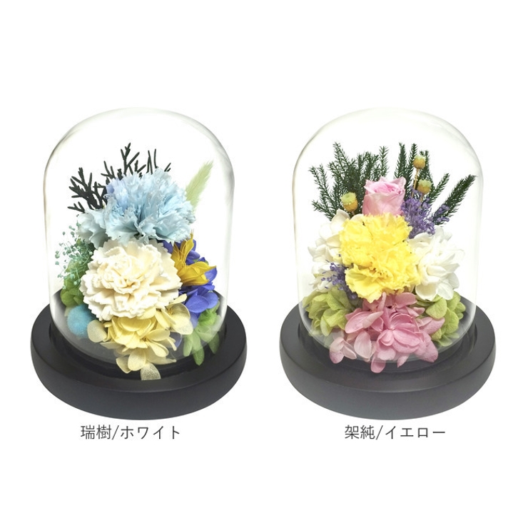 ガラスドームアレンジメントL | BACKYARD FAMILY | 詳細画像12 