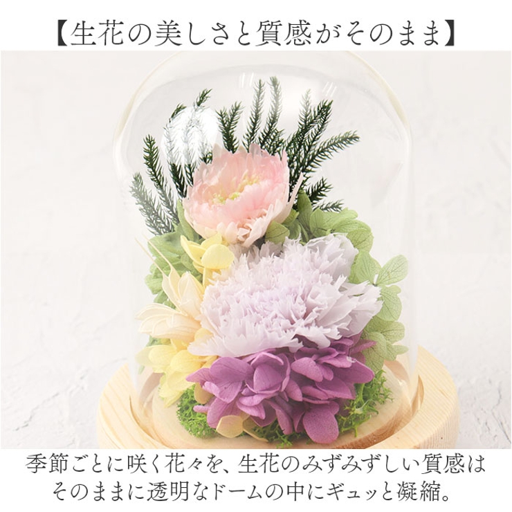 ガラスドームアレンジメントL | BACKYARD FAMILY | 詳細画像4 