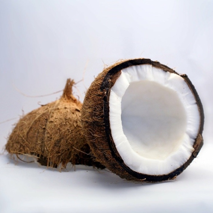 woodfoodワックス | BACKYARD FAMILY | 詳細画像5 