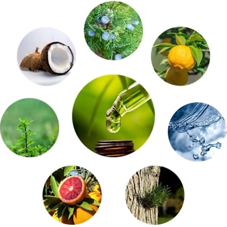 woodfoodワックス | BACKYARD FAMILY | 詳細画像3 