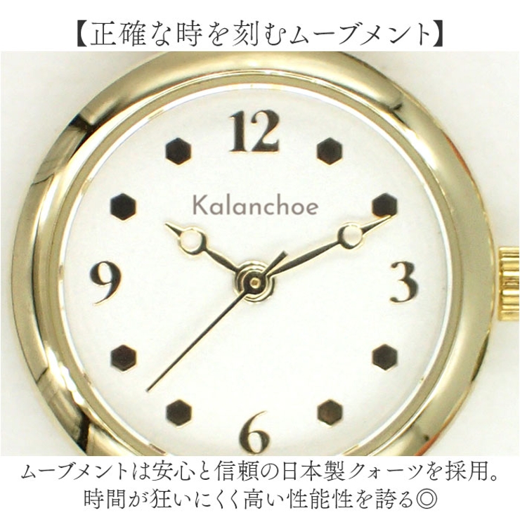 Kalanchoe