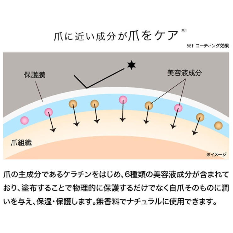 プロイデア