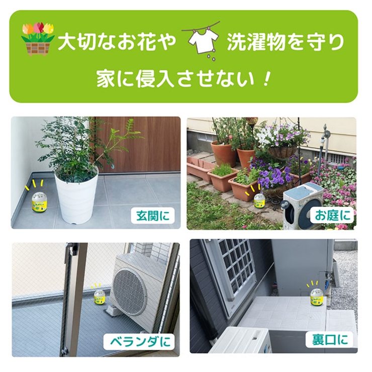 さよならカメちゃん 置きタイプ | BACKYARD FAMILY | 詳細画像5 