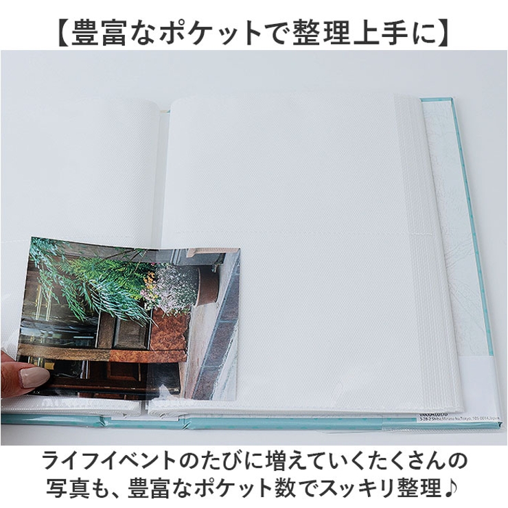 200フォトアルバム | BACKYARD FAMILY | 詳細画像5 