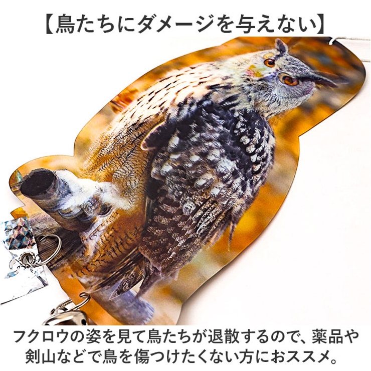 鳥よけ ガラス対策 防鳥 | BACKYARD FAMILY | 詳細画像12 