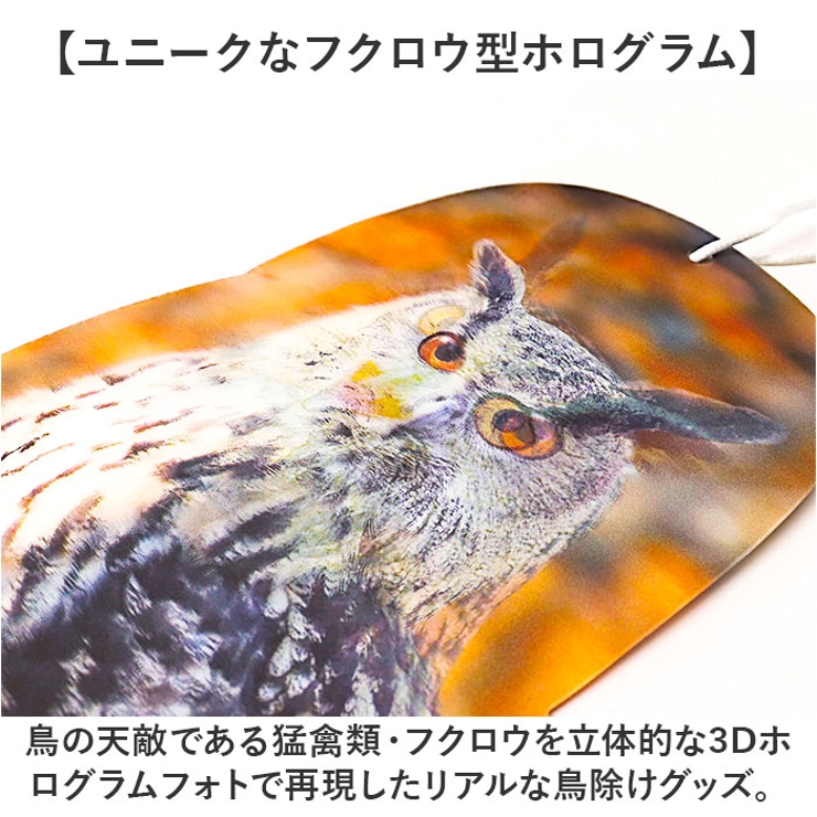 鳥よけ ガラス対策 防鳥 | BACKYARD FAMILY | 詳細画像4 