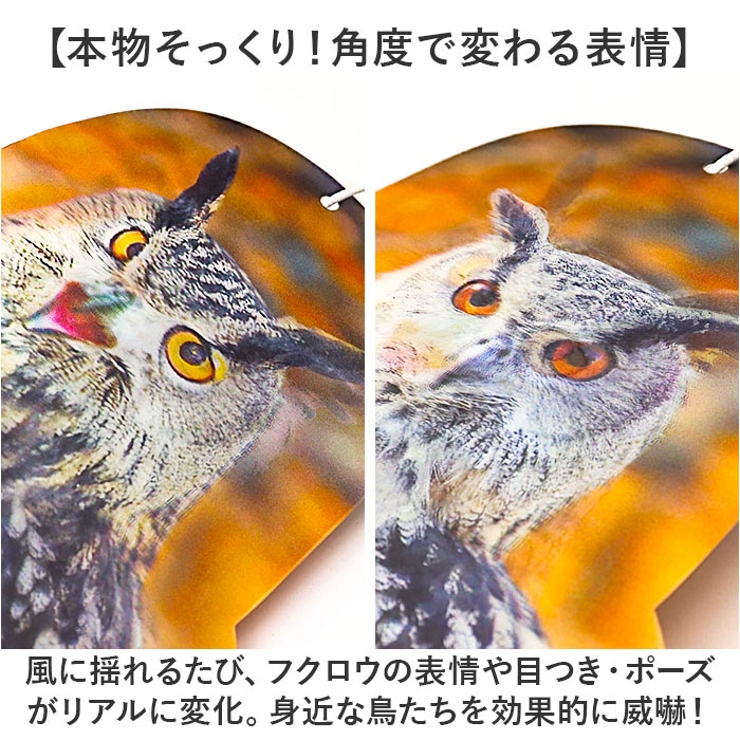 鳥よけ ガラス対策 防鳥 | BACKYARD FAMILY | 詳細画像5 