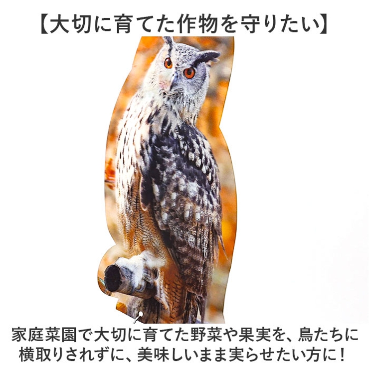 鳥よけ ガラス対策 防鳥 | BACKYARD FAMILY | 詳細画像10 
