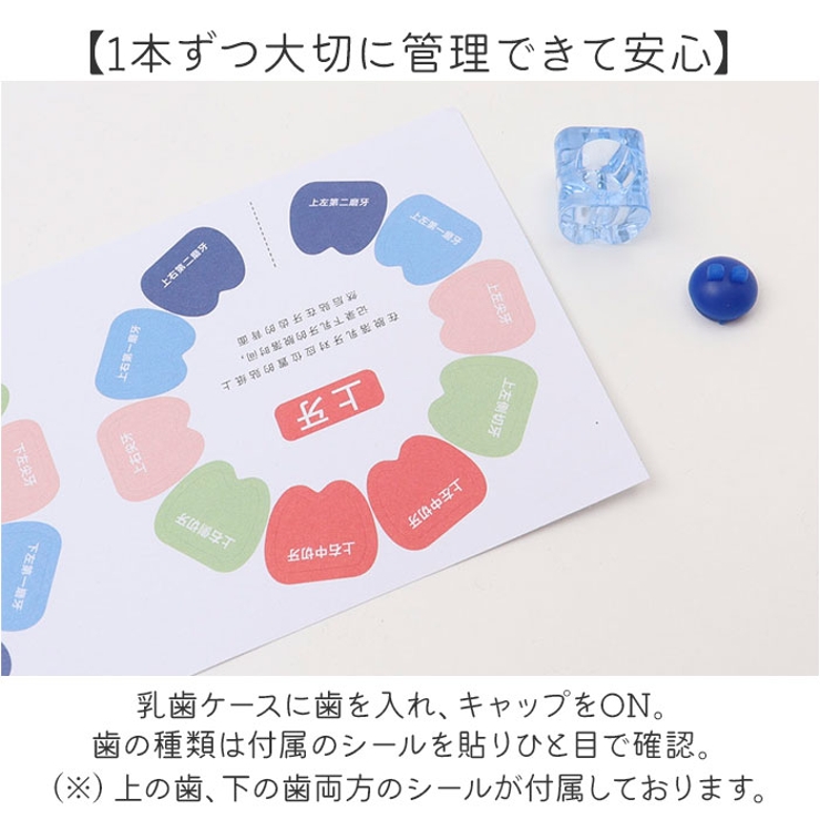 PT乳歯ケース 乳歯箱 | BACKYARD FAMILY | 詳細画像6 