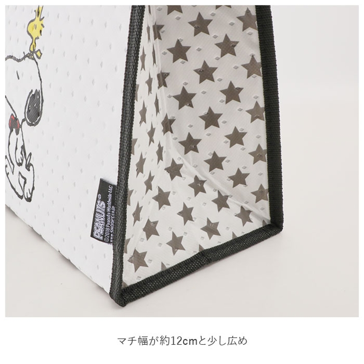 不織布保冷バッグ FBC1 | BACKYARD FAMILY | 詳細画像6 