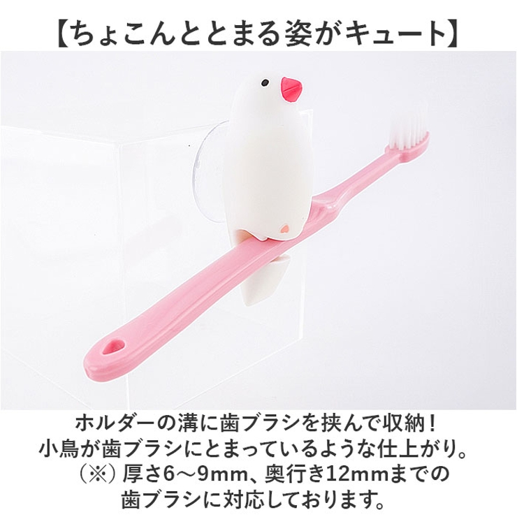 歯ブラシホルダー カップル | BACKYARD FAMILY | 詳細画像4 