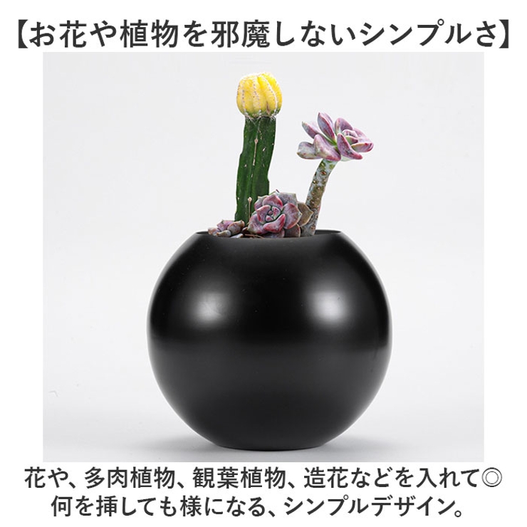 屋内 おしゃれ 多肉植物 花瓶 | BACKYARD FAMILY | 詳細画像4 
