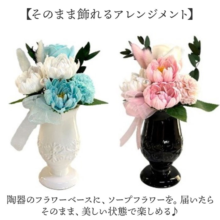 ドゥース・メモワール | BACKYARD FAMILY | 詳細画像3 