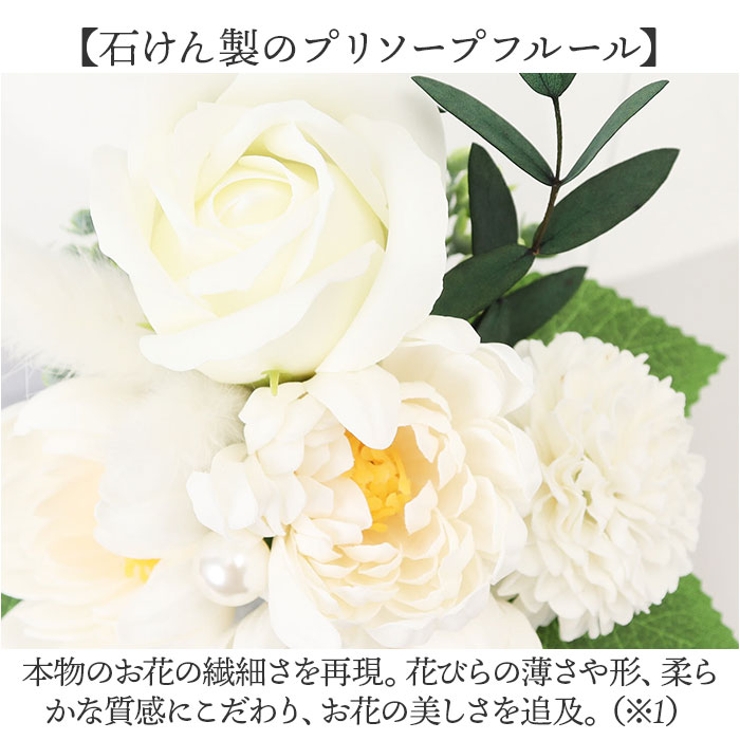 ドゥース・メモワール | BACKYARD FAMILY | 詳細画像5 